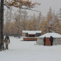 Randonnées autour du lac Khövsgöl: après la neige